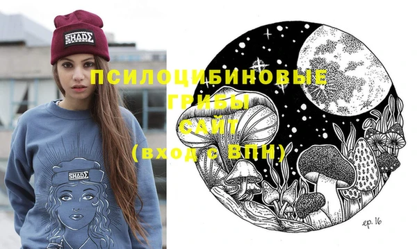 не бодяженный Алексин