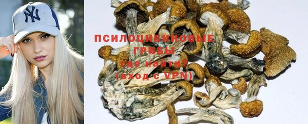 прущая мука Абаза